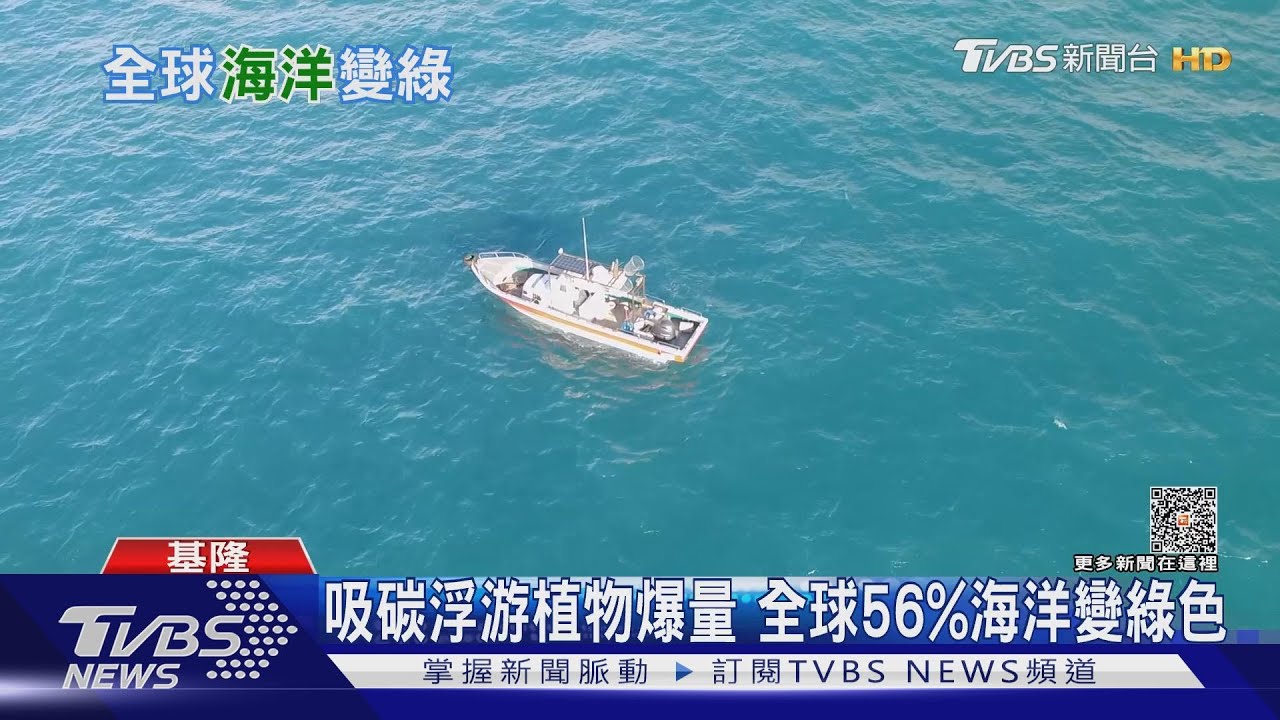 有毒藻類海中增生 海豚海獅驚傳暴斃潮