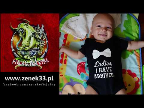 ZENEK - Dla Stasia (z albumu "Płachta na Byka") *2*