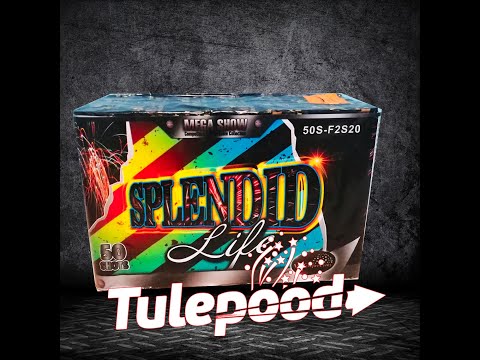 Ilutulestik "Splendid"   50S-F2S20