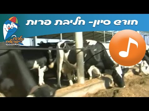 , title : 'חודש סיון: חליבת פרות -שירי ילדות ישראלית-  ילדות ישראלית'