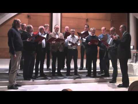 14 Moški zbor Dravlje: Ko zarja zlati nam gore