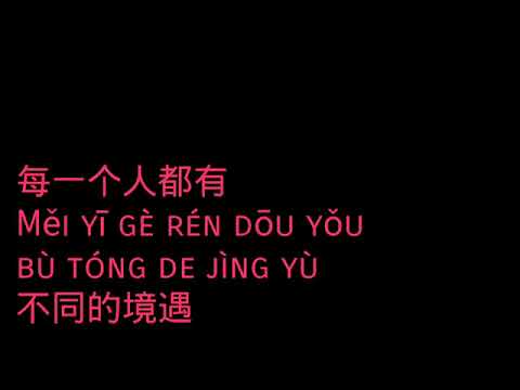 Wo Men Bu Yi Yang  我们不一样  -  DA ZHUANG Lyrics Pinyin