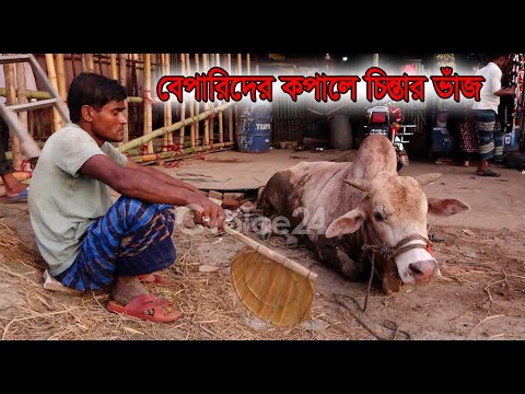 এখনো জমেনি চট্টগ্রামের গরুর বাজার, বেপারিদের কপালে চিন্তার ভাঁজ