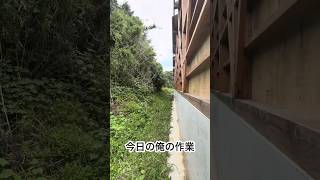 42歳フリーター　大工さんのお手伝い18日目 #vlog #日常#40代の挑戦