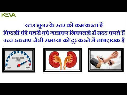 500g Keva Alfalfa Leaf Powder