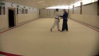 Te Waza Application using De-Ashi-Harai Drill