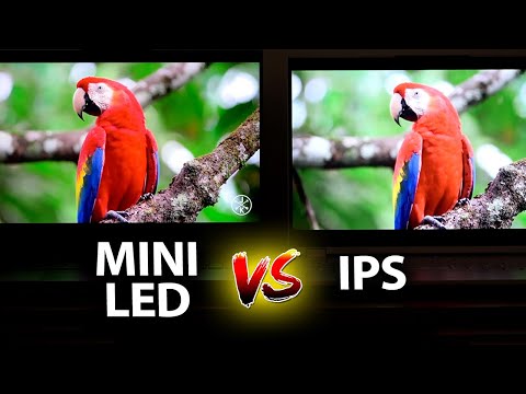 Mini LED vs IPS - Scar 16 vs Legion 5 Pro