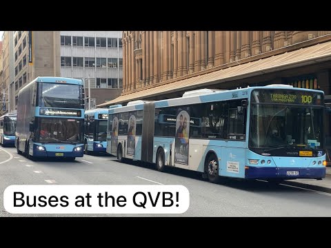 A Variety of Buses at the Queen Victoria Building! | Bus Vlog #31