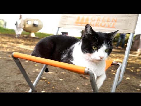 YouTube Preview Image