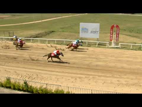 18/09/2020 – Hipodromo Florida – Carr 2 – CUARTO DE MILLA - FINAL POTRO DEL FUTURO