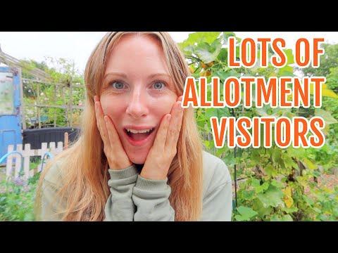 LOTS OF ALLOTMENT VISITORS! / ALLOTMENT GARDENING FOR BEGINNERS