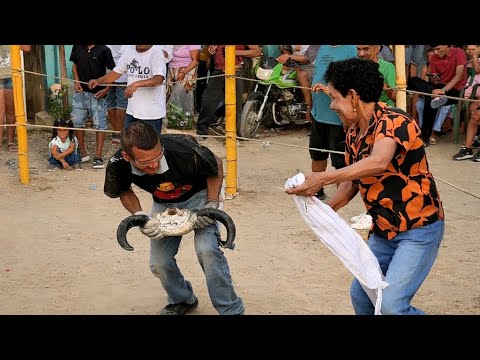 Fiesta brava corralejas humanas en las flores - morroa sucre 