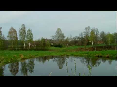 Panorama staw dom las