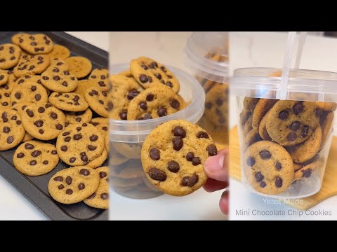 MINI CHOCOLATE CHIP COOKIES | Crisp Outside & Soft Chewy Inside, No-Chill Cookie Recipe