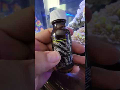 How to Cure Ich and Marine Velvet with Coral Still in Your Tank. GAME CHANGER!!!!