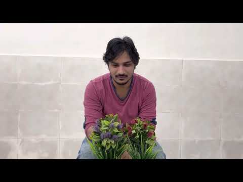 Sarthak  Philosophical audition