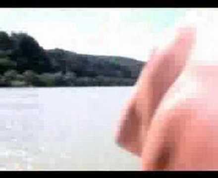 Baywatch zwischen Linz und Puchenau