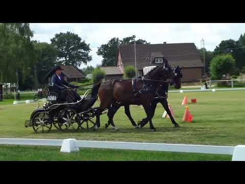 Fahrtunier Dörenthe 12.6.2022