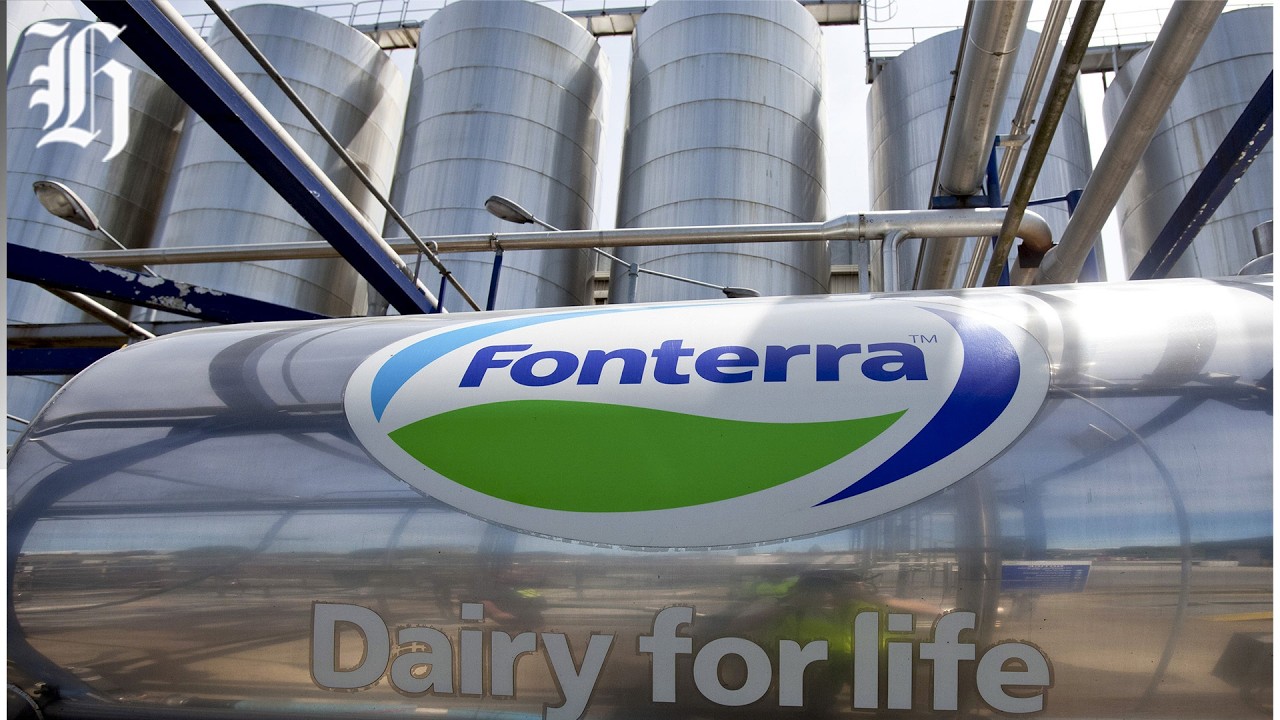 Fonterra puts forecast payout up to $9.50kg/ms, adds Mainland special dividend | Herald NOW