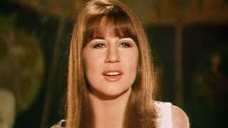 The Seekers - When the Stars begin to Fall (1966 - Stereo, enhanced video)