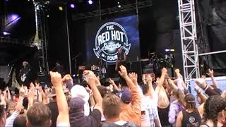 Chocolate Starfish   Mountain