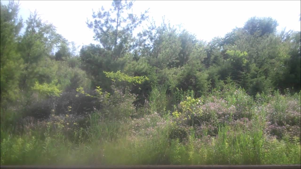 Fugitives (Trailer) 2014