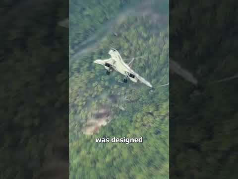 How The Nose Of The Concorde Worked 🤔