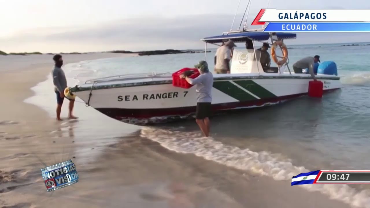 Noticias 4 Visión edición estelar en vivo! Martes 29 de septiembre 2020