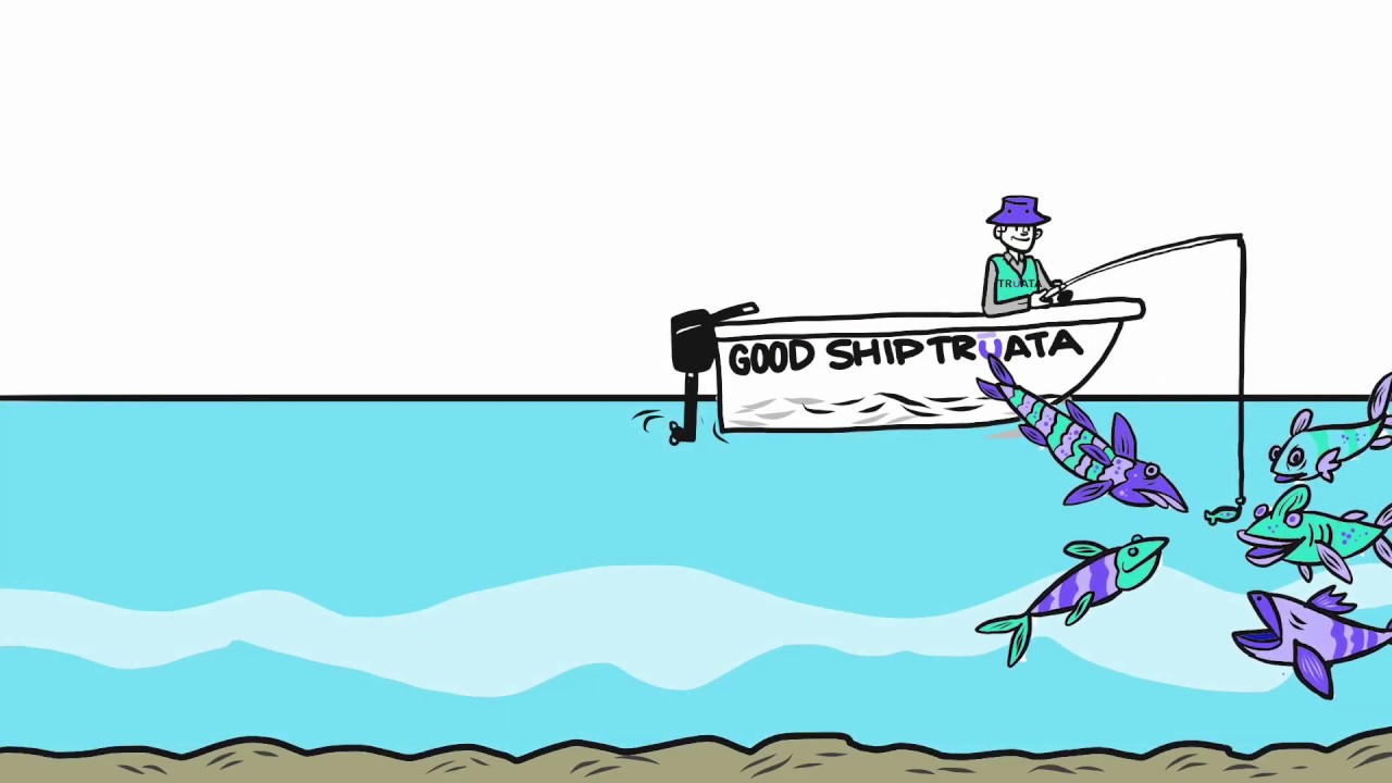 Reel in the benefits of anonymized data with Truata