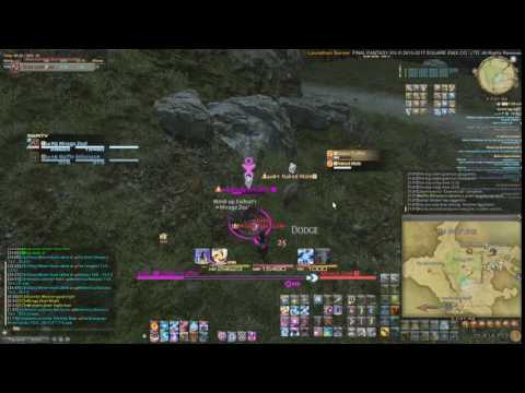 FFXIV Miraga - How to pacify stuff