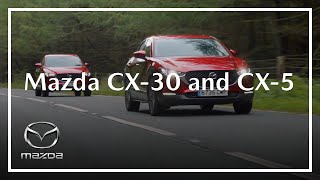 Video 15 of Product Mazda CX-30 (DM) Crossover (2019)
