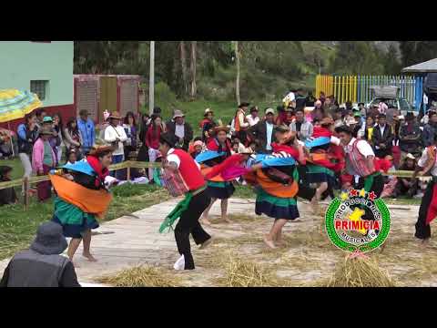 ✓♪♫ ►TRILLAY HUAYLARSH DE PALMAYOC CANIPACO EN CHICCHE 2019◄CARNAVALES (PRIMICIA PRODUCCIONES)