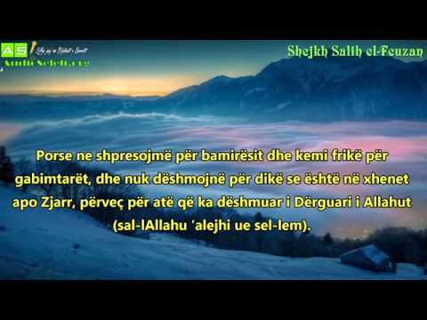 Nese thua filani eshte Shehid, ti vertete ke shpifur ndaj Allahut   Shejkh Feuzan