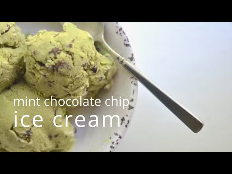 Make Mint Chocolate Chip Ice Cream | pantry staple challenge