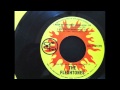 Rockin' This Joint Tonight-The Fleshtones