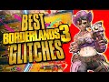 Best Borderlands 3 Glitches In 2025
