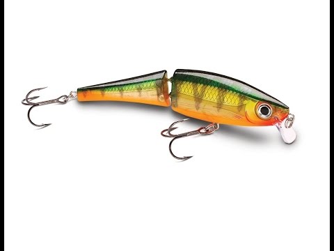 Rapala BX Swimmer