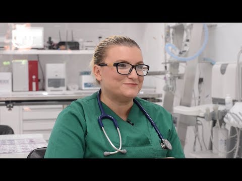 Life is Better with Friends 01112017 - Si te kujdesemi per nje kone