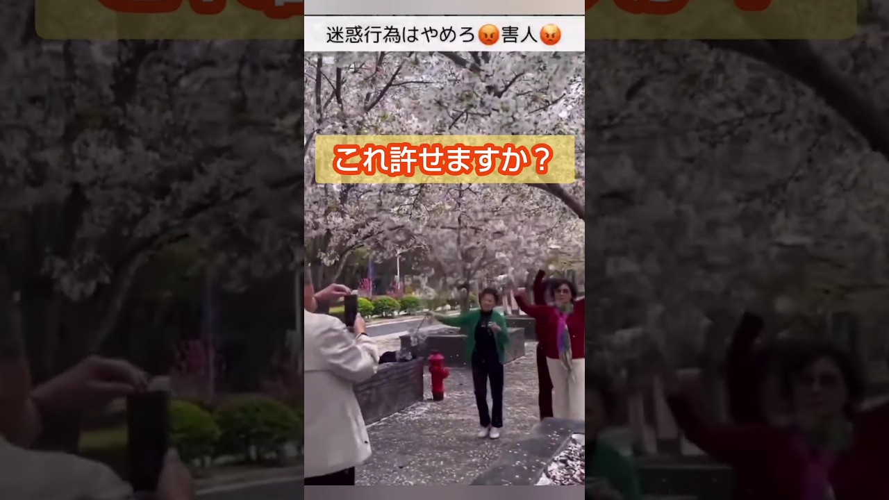 害人は要らん #自民党 #中国人 #移民