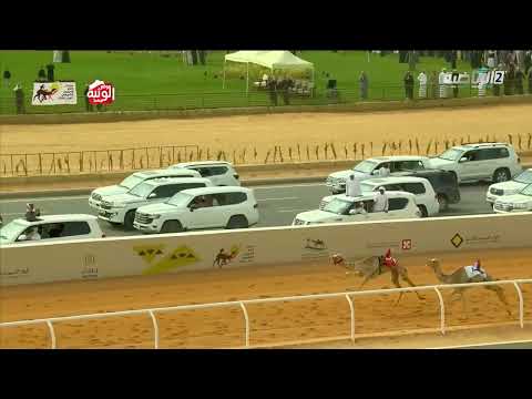 ملخص السباق , مهرجان خادم الحرمين 2026/01/24 حقايق الجنادرية 