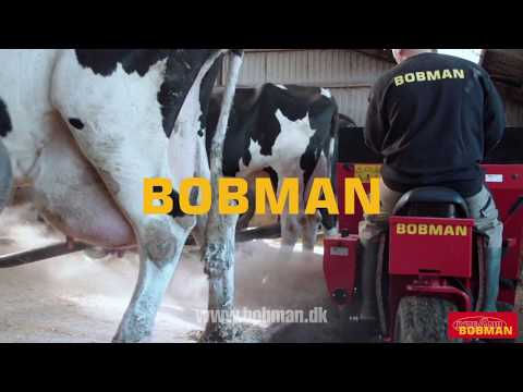 Bobman S bedding spreader testimonial in a freestallbarn with robotic milking system