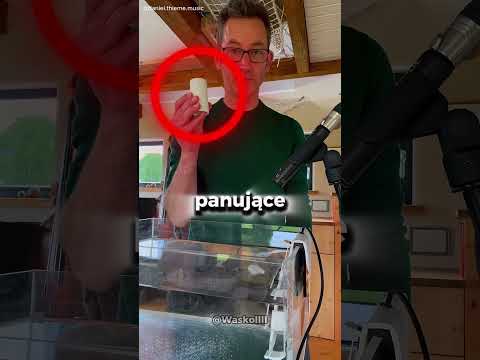 Dlaczego ocean brzmi tak strasznie!?!?!?