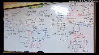 37) Dr. Wael Salah trauma 3 , lacrimal apparatus