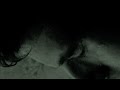 Blood Axis~ Erwachen In Der Nacht