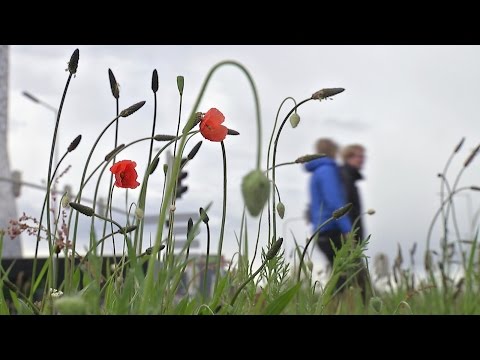 BuitenGewoon 29-09-2015 Nijmegen