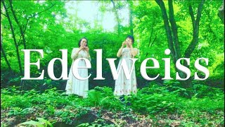 Youtube 更新しました!