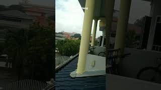 Download lagu Malaysia Klang Selangor nibos senggol dong.#adalawankah mp3