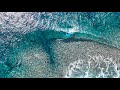 WHAT WE FOUND IN THE REMOTE PACIFIC PT 3