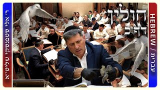 מרכז דף יומי - חולין דף כ. - ר' אלי סטפנסקי שליט"א