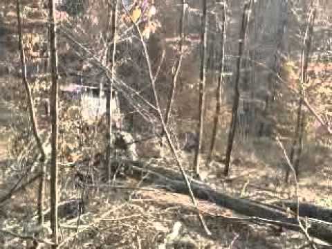 tractor 1010 in cuzaplac